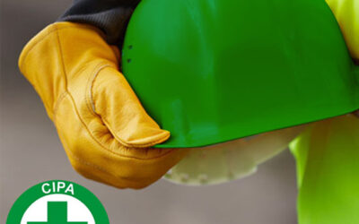 NR 05 – CIPA –  COMISSÃO INTERNA DE PREVENÇÃO DE ACIDENTES E ASSÉDIO  – Grau de Risco 4